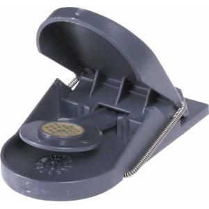 Muizenval SuperCat Muizenval SuperCat