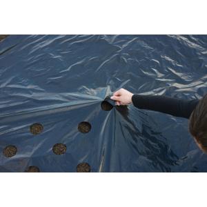Kweekfolie universeel zwart 0.95 x 5 m Kweekfolie universeel zwart 0.95 x 5 m