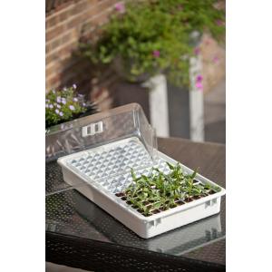 Kweekbakset met uitduwplaat 144 vaks Kweekbakset met uitduwplaat 144 vaks