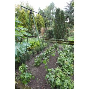 Plantenstokken set van 12 stuks Plantenstokken set van 12 stuks