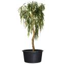 JP planten container H 27 x &Oslash; 37 cm - 20 liter
