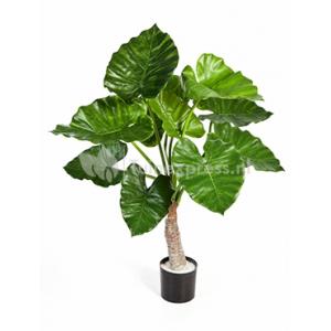 Kunstplant Alocasia calidora S Kunstplant Alocasia calidora S