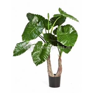 Kunstplant Alocasia calidora M Kunstplant Alocasia calidora M