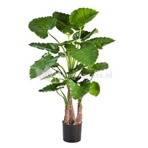 Kunstplant Alocasia calidora L Kunstplant Alocasia calidora L