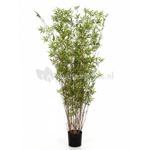 Kunstplant Bamboe oriental S Kunstplant Bamboe oriental S