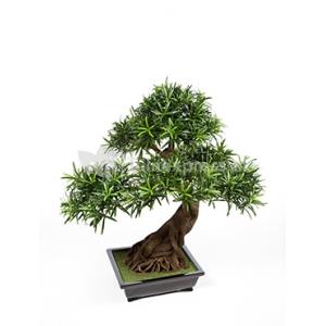 Kunstplant Podocarpus bonsai L Kunstplant Podocarpus bonsai L