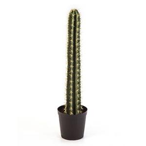 Kunstplant Cactus straight M Kunstplant Cactus straight M