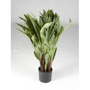 Kunstplant Calathea rufibarba wavestar M Kunstplant Calathea rufibarba wavestar M