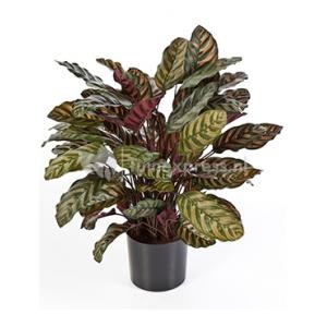 Kunstplant Calathea red L Kunstplant Calathea red L