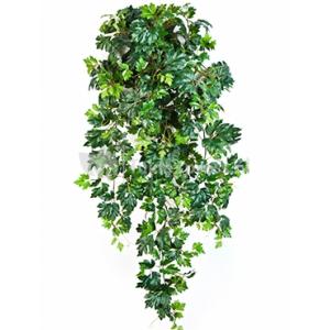 Kunstplant Cissus ellen danica L Kunstplant Cissus ellen danica L