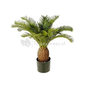 Kunstplant Cycas palm M Kunstplant Cycas palm M