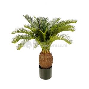 Kunstplant Cycas palm L Kunstplant Cycas palm L