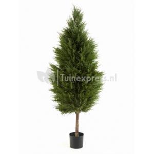 Kunstplant Cypres tree L Kunstplant Cypres tree L