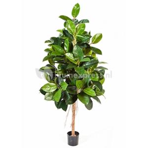 Kunstplant Ficus elastica L Kunstplant Ficus elastica L