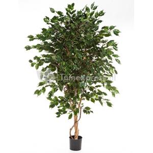 Kunstplant Ficus exotica de luxe M Kunstplant Ficus exotica de luxe M