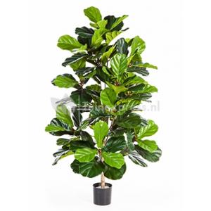 Kunstplant Ficus lyrata L Kunstplant Ficus lyrata L
