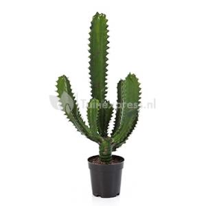 Kunstplant Finger cactus S Kunstplant Finger cactus S
