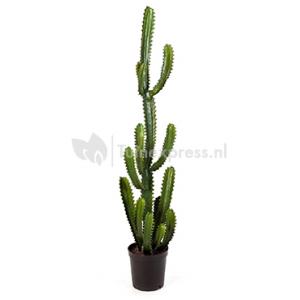 Kunstplant Finger cactus L Kunstplant Finger cactus L