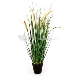 Kunstplant Foxtail wild grass M Kunstplant Foxtail wild grass M