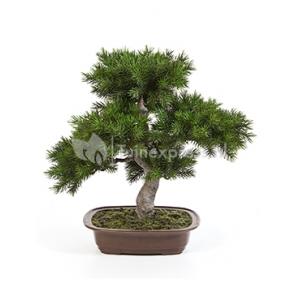 Kunstplant Pinus bonsai M Kunstplant Pinus bonsai M