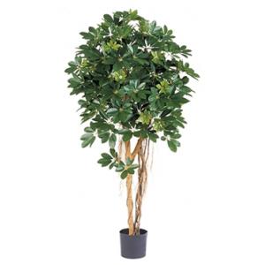 Kunstplant Schefflera arboricola XL Kunstplant Schefflera arboricola XL