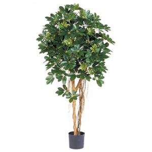 Kunstplant Schefflera arboricola M Kunstplant Schefflera arboricola M