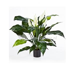 Kunstplant Spathiphyllum L Kunstplant Spathiphyllum L
