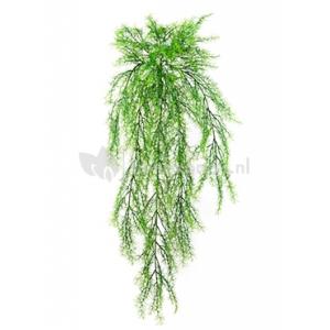 Kunstplant Springeri M Kunstplant Springeri M