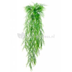 Kunstplant Springeri L Kunstplant Springeri L