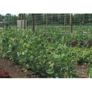 Klimnet voor planten 2 x 5 meter Klimnet voor planten 2 x 5 meter