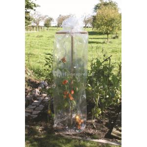 Tomatenhoes Tomatenhoes