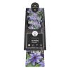 Blauwe bosrank (Clematis "K&ouml;nigskind" PBR) klimplant