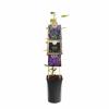 Paarse bosrank (Clematis "The President") klimplant 70 cm
