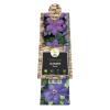 Blauwe bosrank (Clematis "Xerxes") klimplant