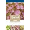 Hydrangea Macrophylla "Magical Harmony Roze"&reg; boerenhortensia
