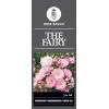 Bodembedekkende trosroos (rosa "The Fairy"&reg;)