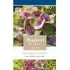 Hydrangea Macrophylla "Magical Amethyst Roze"&reg; boerenhortensia