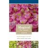 Hydrangea Macrophylla "Magical Coral Pink"&reg; boerenhortensia
