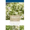 Hydrangea Macrophylla "Magical Noblesse"&reg; boerenhortensia
