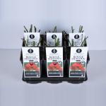 Trosroos (rosa "Red Meilove"&reg;)