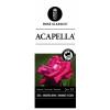 Grootbloemige roos (rosa "Acapella"&reg;)