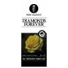 Grootbloemige roos (rosa "Diamonds Forever"&reg;)