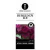 Trosroos (rosa "Burgundy Ice"&reg;)