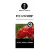 Trosroos (rosa "Fellowship"&reg;)