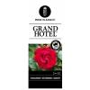 Grootbloemige klimroos (rosa "Grand Hotel"&reg;)
