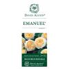 Engelse klimroos (rosa "Emanuel"&reg;)