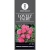Trosroos op stam (rosa "Lovely Fairy"&reg;)