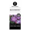 Trosroos op stam (rosa "Blue For You"&reg;) 