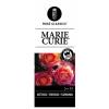 Trosroos op stam (rosa "Marie Curie"&reg;)