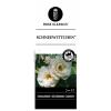 Heesterroos op stam (rosa "Schneewittchen"&reg;)